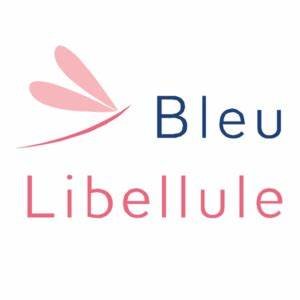 bleu-libellule-69e505a404ccc236630795.jpg